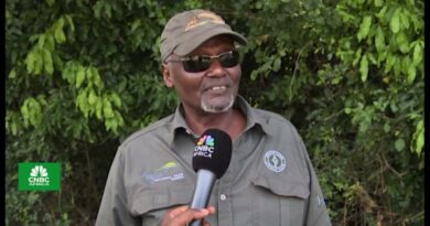 Discover Rwanda: Return of the Giants: Akagera’s Rhino Revival
