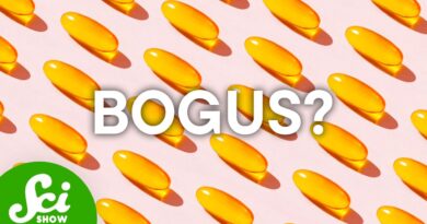 Do These 7 Supplements ACTUALLY Work?