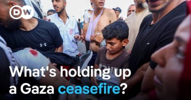 Dozens killed in attack on Gaza aid-distribution point | DW News