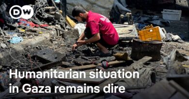 Dozens of Gazans waiting for aid killed by gunfire | DW News