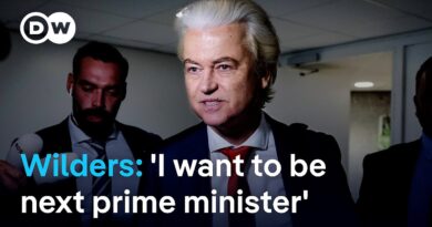 “Dutch government collapses: Who gains the most?” | DW News