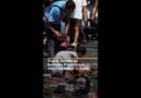 Dutch memorial honours Palestinian children killed in Gaza | AJ #shorts