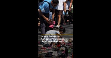 Dutch memorial honours Palestinian children killed in Gaza | AJ #shorts