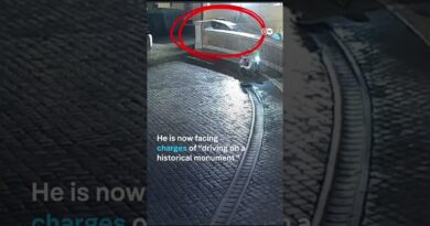 Elderly man gets stuck driving down Rome’s Spanish Steps  | DW News