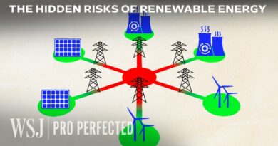 Engineer Explains Three Key Issues in Renewable Grid Design | WSJ Pro Perfected