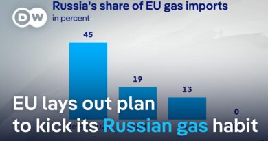 EU energy chief vows ban on all Russian gas imports by 2028 | DW News