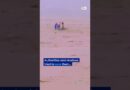Family in Pakistan trapped by flood waters | DW News