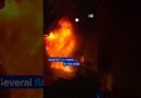Firefighters in Turkey battle to contain wildfires | DW News
