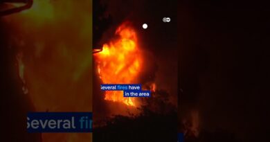 Firefighters in Turkey battle to contain wildfires | DW News