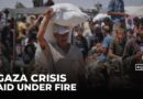 Food collection point deaths: Starving Palestinians targeted by Israeli forces
