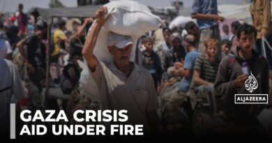 Food collection point deaths: Starving Palestinians targeted by Israeli forces