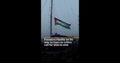 Freedom Flotilla on its way to Gaza as critics call for ship to sink | AJ#shorts