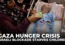 Gaza hunger crisis: Blockade starves children as Israeli gunfire kills food-seeking civilians