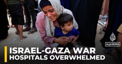 ‘Gaza is completely flattened, hospitals utterly overwhelmed’: UK peadiatric nurse