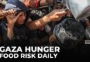 Gaza’s displaced face hunger and risky food journeys