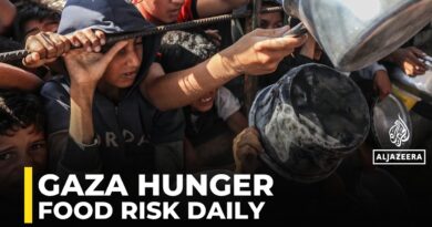 Gaza’s displaced face hunger and risky food journeys