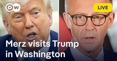 German Chancellor Friedrich Merz visits Donald Trump in Washington | DW News
