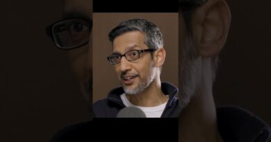 Google CEO Sundar Pichai on misinformation in Google Search