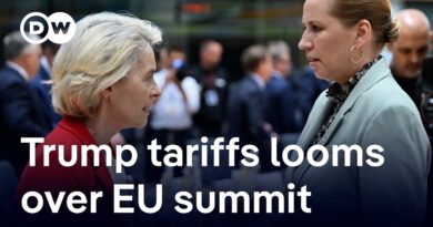 How are EU leaders addressing Trump’s 50% tariffs, as deadline nears? | DW News