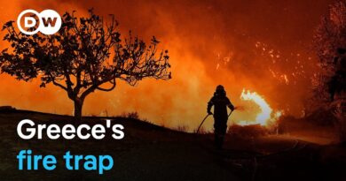 How Athens is preparing for the next wildfire catastrophe | Focus on Europa