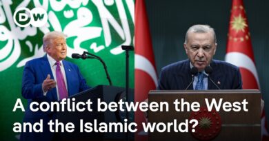 How do regional neighbors react to the escalations between Israel and Iran? | DW News