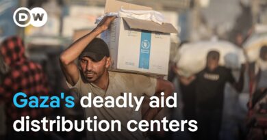 How Israel’s scarce aid distribution is pushing violence and anguish | DW News