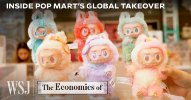 How Labubu Skyrocketed Pop Mart Stock 1,200% | WSJ The Economics Of