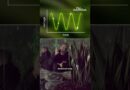 I used to DJ in Ibiza, now I make music with plants