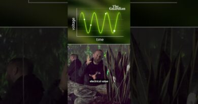 I used to DJ in Ibiza, now I make music with plants