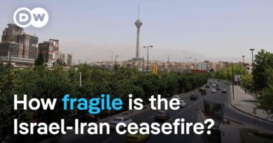 IDF: Missiles fired from Iran after Trump-brokered ceasefire | DW News