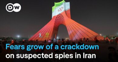 Iran: 700 people arrested on suspicion of espionage – What are they accused of? | DW News