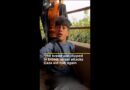 Israel kills Palestinians queueing for aid again, UN calls for probe | Al Jazeera Newsfeed