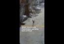 Israeli drone kills Palestinian carrying sack of flour | AJ #shorts