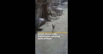 Israeli drone kills Palestinian carrying sack of flour | AJ #shorts