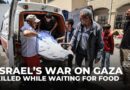 Israeli forces fire on starving civilians at GHF aid hub in southern Gaza, killing 3 and injuring 35