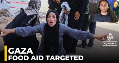 Israeli forces kill 72 Palestinians in Gaza, including 29 seeking aid