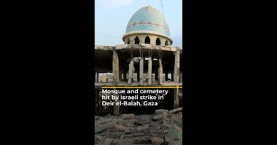 Israeli strike damages graves and destroys mosque in Deir el-Balah, Gaza | AJ #shorts