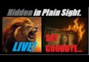 LIVE! IS THE FED NOT KILLING THE DOLLAR FAST ENOUGH? (SAY GOODBYE TO THE DOLLAR). Mannarino