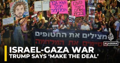 ‘Make the deal; get the hostages back’: Trump reiterates call for ceasefire deal in Gaza