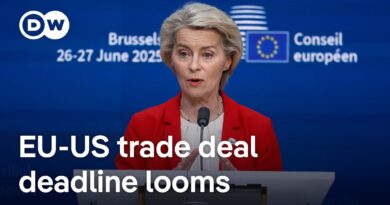 Merz pressures EU chief to make ‘quick and simple’ US trade deal, supports WTO alternative | DW News