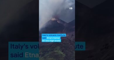 Mount Etna eruption recorded by CCTV cameras | DW News