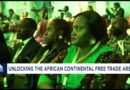 Opening Ceremony of the 32nd Afreximbank Annual General Meetings