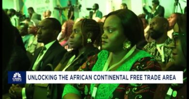 Opening Ceremony of the 32nd Afreximbank Annual General Meetings