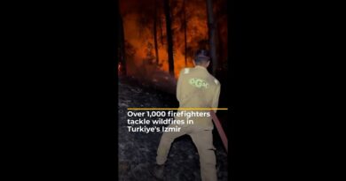 Over 1,000 firefighters tackle wildfires in Turkiye’s Izmir | AJ #shorts