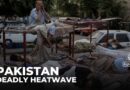 Pakistan’s deadly heatwave: Workers and farmers face soaring temperatures