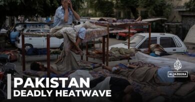 Pakistan’s deadly heatwave: Workers and farmers face soaring temperatures