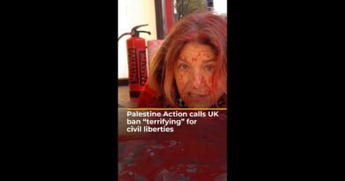 Palestine Action calls UK ban “terrifying” for civil liberties | AJ #shorts
