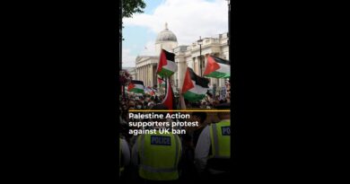 Palestine Action supporters protest against UK ban