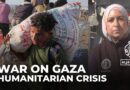 Palestinians in Gaza forcibly starved, risking their lives to get some food: General surgeon