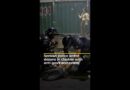 Police clash with protesters in Serbia as tens of thousands demand election